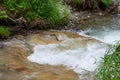 Rapid course of a mountain river.