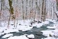 Mountain river runs through winter forest Royalty Free Stock Photo