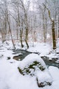 Mountain river runs through winter forest Royalty Free Stock Photo