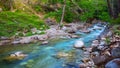 Mountain river rushing through the canyon Royalty Free Stock Photo