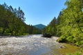 Mountain river Sema landscape in Altai Royalty Free Stock Photo