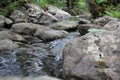 Mountain river - a small waterfall on a river with crystal clear water that flows among gray stones in a green forest on Royalty Free Stock Photo