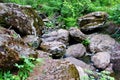 Mountain river - a small waterfall on a river with crystal clear water that flows among gray stones in a green forest on Royalty Free Stock Photo