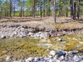 Mountain river with a stone channel in the forest