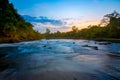 Forest, River, Spring - Flowing Water, Springtime, Water Royalty Free Stock Photo