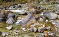 Mountain river. Stones and water of mountain river. The mountains are said Royalty Free Stock Photo
