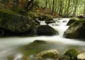 Mountain river stream Royalty Free Stock Photo