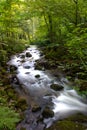 Mountain river - stream flowing through thick green forest, Bistriski Vintgar, Slovenia
