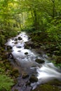 Mountain river - stream flowing through thick green forest, Bistriski Vintgar, Slovenia Royalty Free Stock Photo