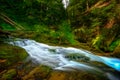 Mountain river - stream flowing through thick green forest, Bistriski Vintgar, Slovenia Royalty Free Stock Photo