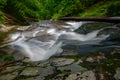 Mountain river - stream flowing through thick green forest, Bistriski Vintgar, Slovenia Royalty Free Stock Photo