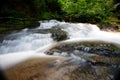 Mountain river - stream flowing through thick green forest, Bistriski Vintgar, Slovenia Royalty Free Stock Photo