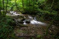 Mountain river - stream flowing through thick green forest, Bistriski Vintgar, Slovenia Royalty Free Stock Photo