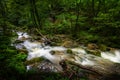 Mountain river - stream flowing through thick green forest, Bistriski Vintgar, Slovenia Royalty Free Stock Photo