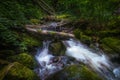 Mountain river - stream flowing through thick green forest, Bistriski Vintgar, Slovenia