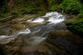 Mountain river - stream flowing through thick green forest, Bistriski Vintgar, Slovenia Royalty Free Stock Photo
