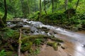 Mountain river - stream flowing through thick green forest, Bistriski Vintgar, Slovenia Royalty Free Stock Photo