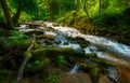 Mountain river - stream flowing through thick green forest, Bistriski Vintgar, Slovenia