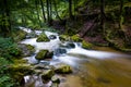 Mountain river - stream flowing through thick green forest, Bistriski Vintgar, Slovenia Royalty Free Stock Photo