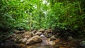 Mountain river stream landscape Royalty Free Stock Photo