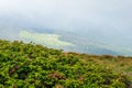 Mountain river stream landscape Royalty Free Stock Photo