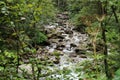 Mountain river stream landscape. River in the mountain forest. Stream in the mountains. Royalty Free Stock Photo