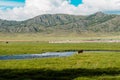 Mountain river stream landscape. River stream mountain landscape Royalty Free Stock Photo