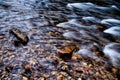 Mountain river stream in north carolina mountains Royalty Free Stock Photo