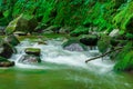 Mountain river stream in spring, long exposure. Crystal clear water flowing over rocks and green moss Royalty Free Stock Photo