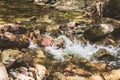 Mountain River Stream Through Summer Forest. Clear Water. Day In Nature Royalty Free Stock Photo