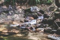 Mountain River Stream Through Summer Forest. Clear Water. Day In Nature Royalty Free Stock Photo