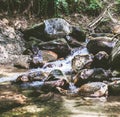 Mountain River Stream Through Summer Forest. Clear Water. Day In Nature Royalty Free Stock Photo