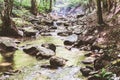 Mountain River Stream Through Summer Forest. Clear Water. Day In Nature Royalty Free Stock Photo