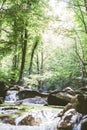 Mountain River Stream Through Summer Forest. Clear Water. Day In Nature Royalty Free Stock Photo