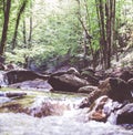 Mountain River Stream Through Summer Forest. Clear Water. Day In Nature Royalty Free Stock Photo