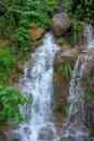 Mountain river stream waterfall fresh forest / Landscape nature plant tree rainforest jungle with rock and green mos in the