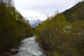 Mountain river surrounded by trees in the Elbrus region Royalty Free Stock Photo