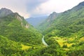 Mountain river Tara in Montenegro Royalty Free Stock Photo