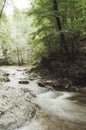 Mountain river trough forest Royalty Free Stock Photo