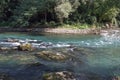 Mountain river with turquoise water in French forests