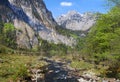 Mountain river valley landscape