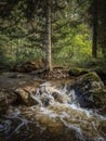 Mountain river water flow and fall among green forest and stones Royalty Free Stock Photo