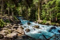 Mountain river water landscape. Wild river in mountains.