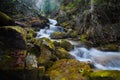 Mountain river waterfall in the autumn forest Royalty Free Stock Photo