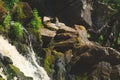 Mountain river. waterfall in dense forest. woodland creek. water flow with splashes. rocky watercourse Royalty Free Stock Photo
