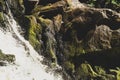 Mountain river. waterfall in dense forest. woodland creek. water flow with splashes. rocky watercourse Royalty Free Stock Photo