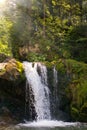Mountain river with a waterfall in the mountains of the Ukrainian Carpathians Royalty Free Stock Photo