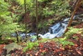 Mountain river waterfall in wild Carpathian forest