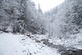 Mountain river with wooden bridge in the mountain winter forest with snow-covered trees and snowfall Royalty Free Stock Photo