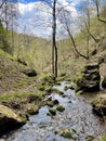 Mountain river at Zlatibor Royalty Free Stock Photo